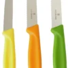 Victorinox Schilmessenset Bright - 3-Delig