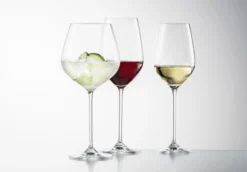 Schott Zwiesel Wijnglazen Fortissimo - Set 18 Delig - Witte En Rode Wijnglazen & Gin Tonic Glazen -Goedkope Keuken Wijs Winkel 4001836085601 schott zwiesel fortissimo 1