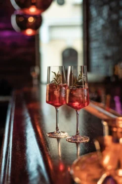 Zwiesel Glas Champagneglazen Echo - 395 Ml - 4 Stuks -Goedkope Keuken Wijs Winkel 4001836117838 3