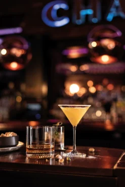 Zwiesel Glas Martiniglazen Echo - 166 Ml - 4 Stuks -Goedkope Keuken Wijs Winkel 4001836117845 3