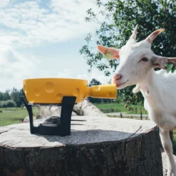 Boska Fondueset Cheesy - 6 Personen - Geel/zwart - 1.3 Liter 8 Boska Fondueset Cheesy - 6 Personen - Geel/zwart - 1.3 Liter -Goedkope Keuken Wijs Winkel 853512 BOSKAFondueSetSuperCheesy 2 2400x