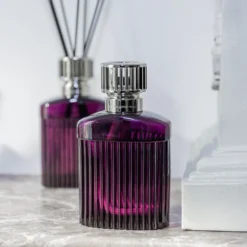 Maison Berger Geurstokjes Alpha Pruim 200 Ml -Goedkope Keuken Wijs Winkel Alpha paars 2 2