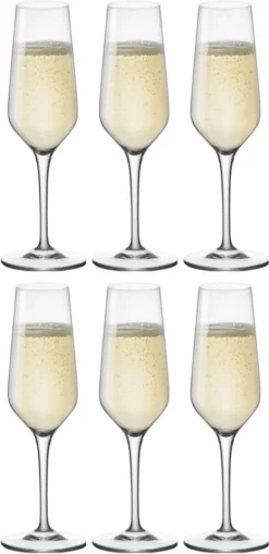Bormioli Rocco Champagneglazen Electra - 230 Ml - 6 Stuks