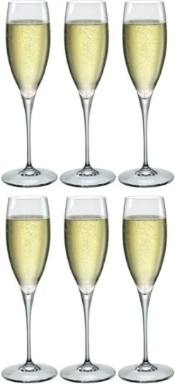 Bormioli Rocco Champagneglazen Premium - 260 Ml - 6 Stuks