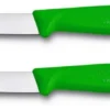Victorinox Schilmes Swiss Classic - Groen - 2 Stuks