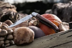 Laguiole Style De Vie Zakmes Rozenhout -Goedkope Keuken Wijs Winkel Laguiole zakmes rozenhout sf gr 10