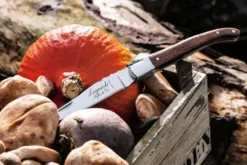 Laguiole Style De Vie Zakmes Rozenhout -Goedkope Keuken Wijs Winkel Laguiole zakmes rozenhout sf gr 8