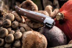 Laguiole Style De Vie Zakmes Rozenhout -Goedkope Keuken Wijs Winkel Laguiole zakmes rozenhout sf gr 9