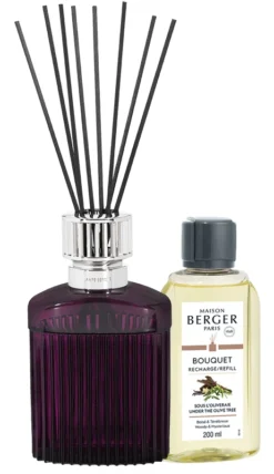 Goedkope Keuken Wijs Winkel -Goedkope Keuken Wijs Winkel Maison Berger Geurstokjes Alpha Pruim 200 ml 4