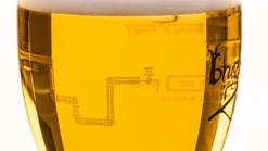 Brugse Zot Bierglas - 330 Ml -Goedkope Keuken Wijs Winkel Merkbier gevuld 8 scaled