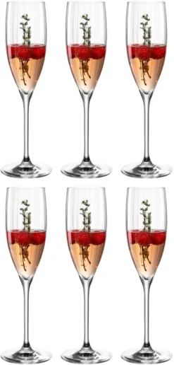 Leonardo Champagneglas Poesia - 250 Ml - 6 Stuks