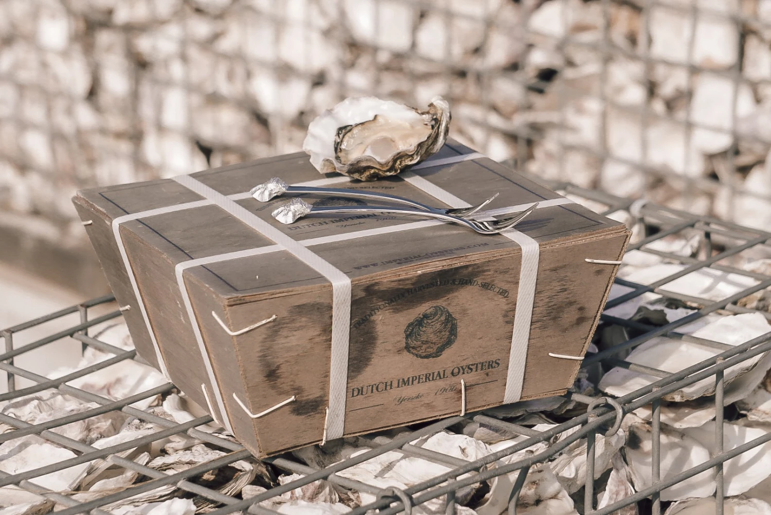 Anovi Oestervorkjes - 4 Stuks 3 Anovi Oestervorkjes - 4 Stuks - Afbeelding 3