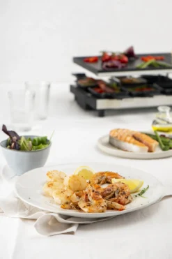 Fritel Gourmetstel RG 4180 -Goedkope Keuken Wijs Winkel RG 4180 Raclette Grill 142170 06