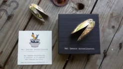 Anovi Mosselbestek 2-delig 14 Anovi Mosselbestek 2-delig -Goedkope Keuken Wijs Winkel anovi mosselbestek