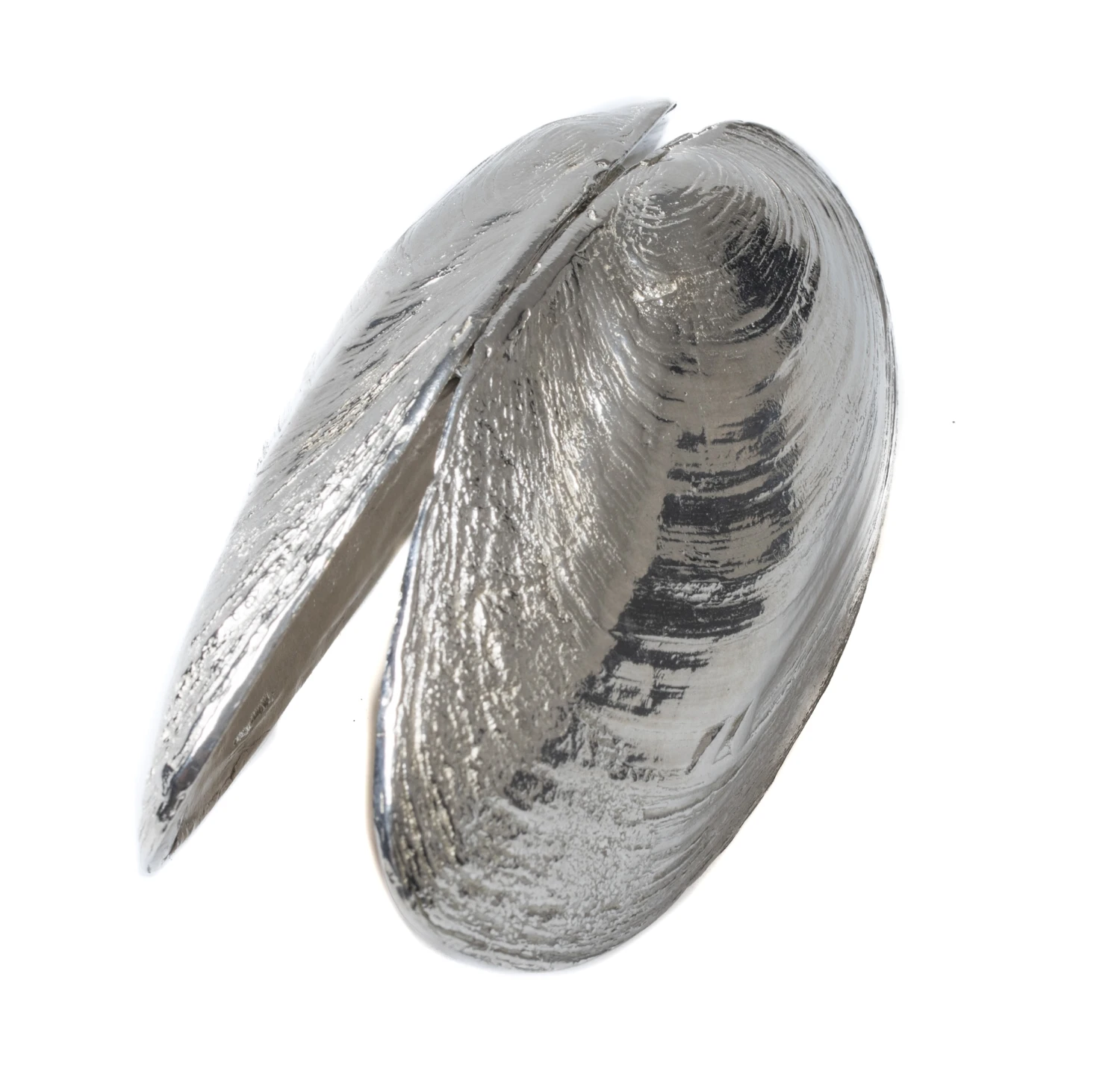 Anovi Mosselschep 6 Anovi Mosselschep - Afbeelding 6