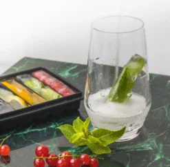 Sareva IJsblokjesvorm - 10 Ijsstaafjes - Siliconen - Easy Release - Herbruikbaar -Goedkope Keuken Wijs Winkel product 8 6