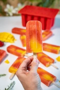 Sareva IJsjesmaker Voor 10 Ijsjes - Rood - Siliconen + 150 Houten IJsstokjes -Goedkope Keuken Wijs Winkel sareva ijsjesmaker 2