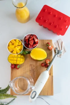 Sareva IJsjesmaker - 10 Ijsjes - Rood - Siliconen - Easy Release - Herbruikbaar -Goedkope Keuken Wijs Winkel sareva ijsjesvorm