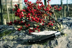 Laguiole Style De Vie Zakmes Zwart Ebbenhout -Goedkope Keuken Wijs Winkel sf zakmes zwart ebbenhout 6 gr