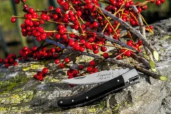 Laguiole Style De Vie Zakmes Zwart Ebbenhout -Goedkope Keuken Wijs Winkel sf zakmes zwart ebbenhout 7 gr