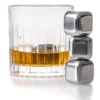 Jay Hill Whiskey Stenen - RVS - 4 Stuks